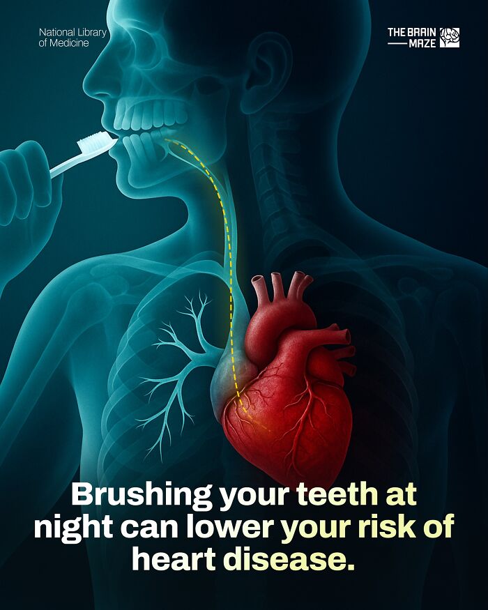 20 Mind-Blowing Body Facts That Will Totally Surprise You