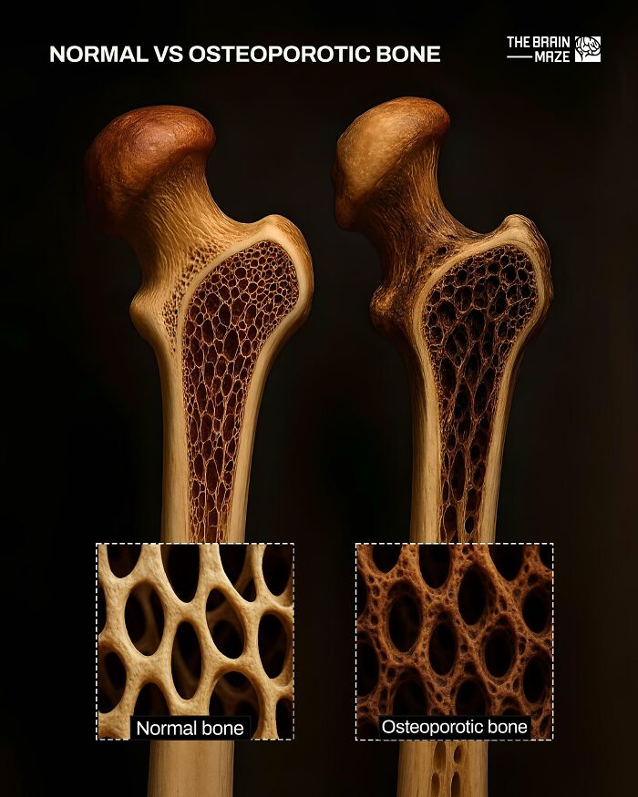 20 Mind-Blowing Body Facts That Will Totally Surprise You