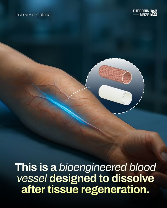 20 Mind-Blowing Body Facts That Will Totally Surprise You