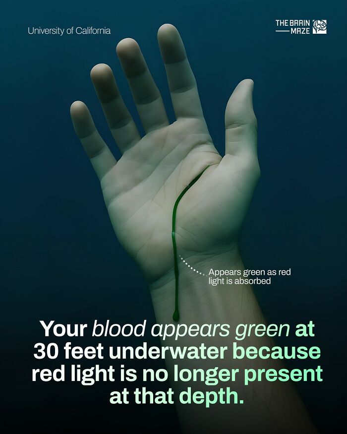 20 Mind-Blowing Body Facts That Will Totally Surprise You