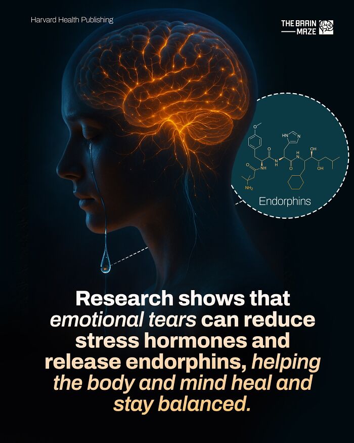 20 Mind-Blowing Body Facts That Will Totally Surprise You