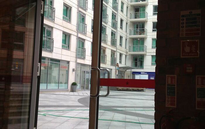 39 Wild True Stories That Sound Like Totally Made-Up Tales