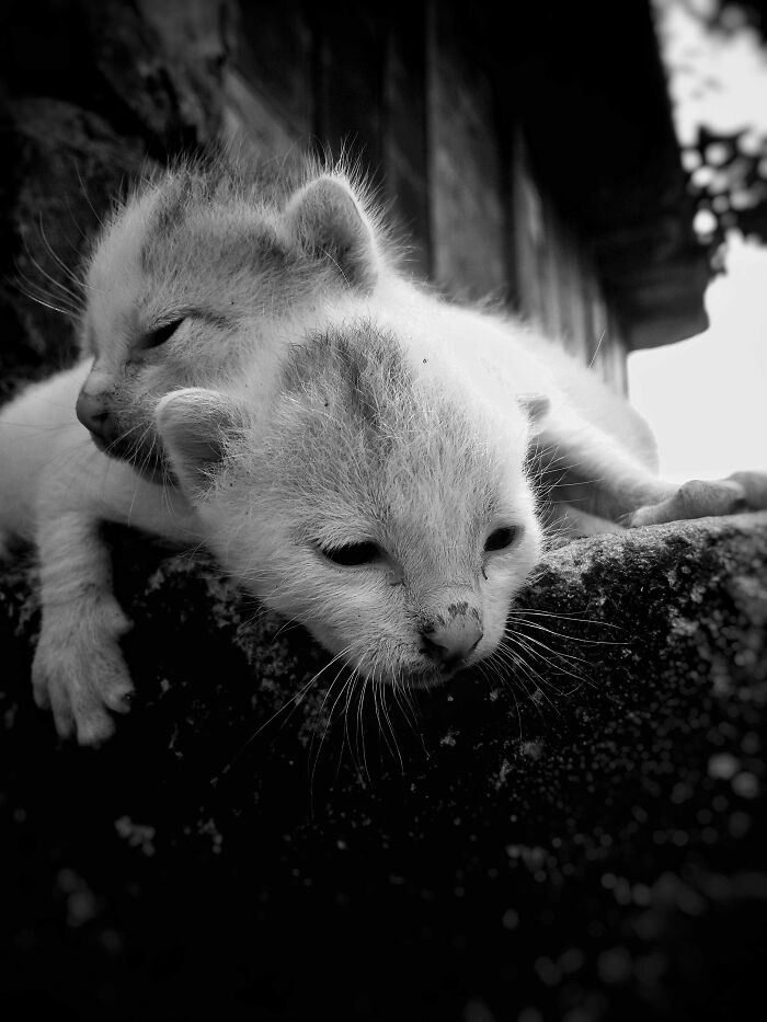 15 Pics From an Indie Photographer That Will Totally Wow You