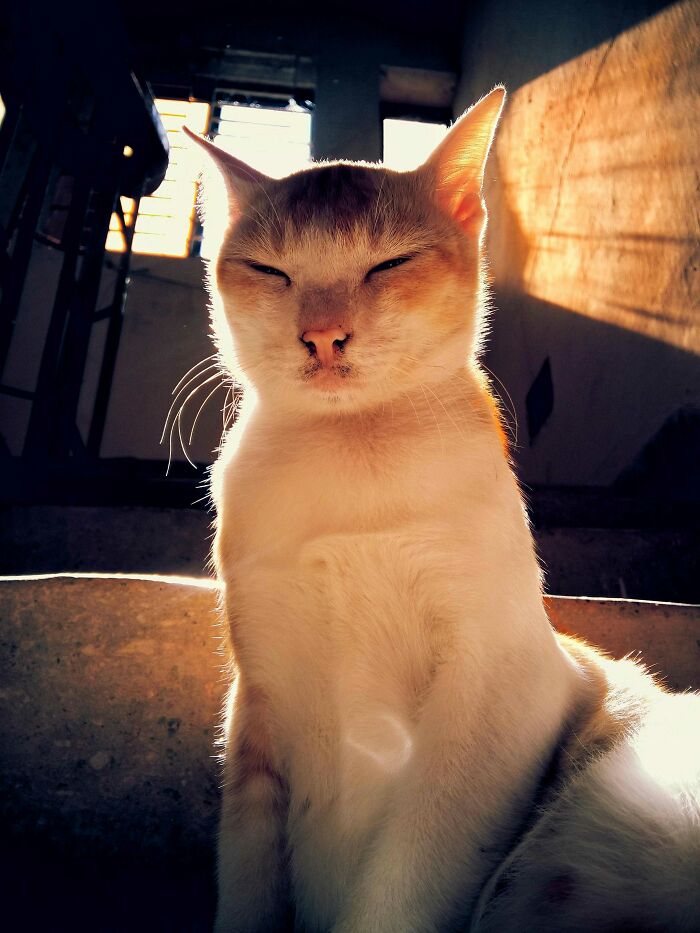 15 Pics From an Indie Photographer That Will Totally Wow You