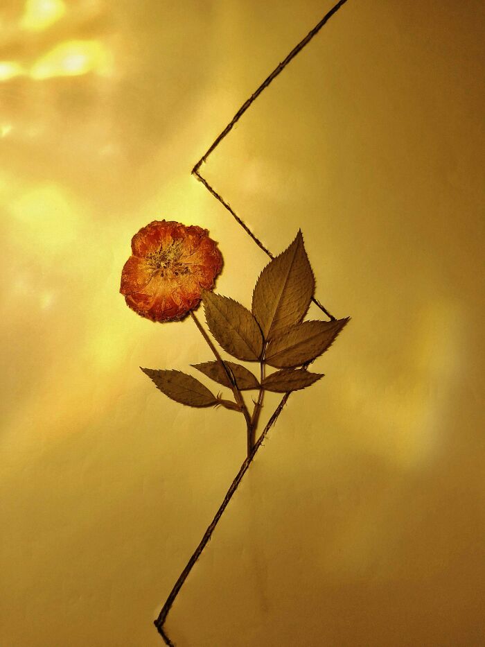 15 Pics From an Indie Photographer That Will Totally Wow You