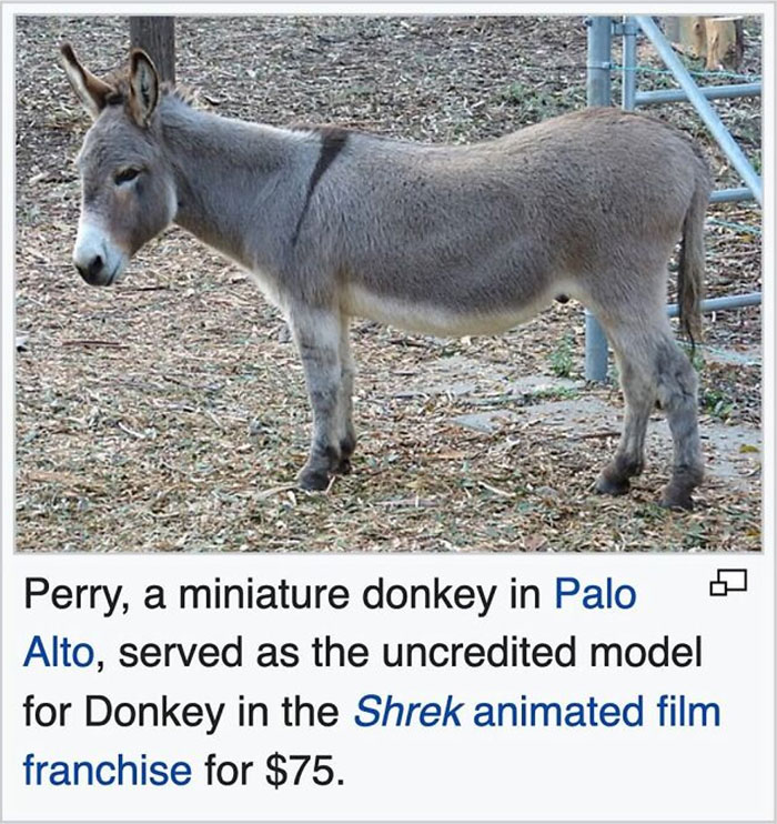 We Dug Up 50 Wikipedia Gems That Are Way Too Hilarious to Ignore