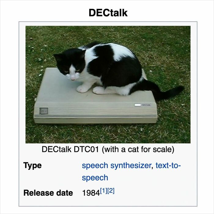 We Dug Up 50 Wikipedia Gems That Are Way Too Hilarious to Ignore