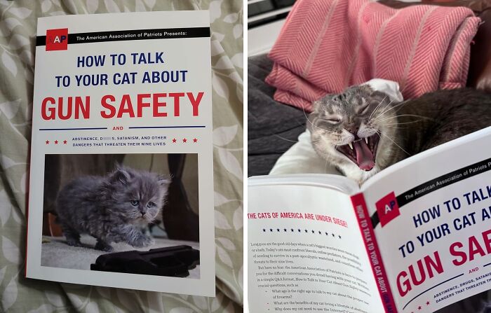 "How To Talk To Your Cat About Gun Safety"The Only Book Getting To The Real Issues Cat Owners Face