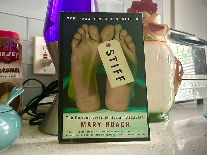 "Stiff: The Curious Lives Of Human Cadavers"A Surprisingly Funny Tour Of What Happens When We're Done