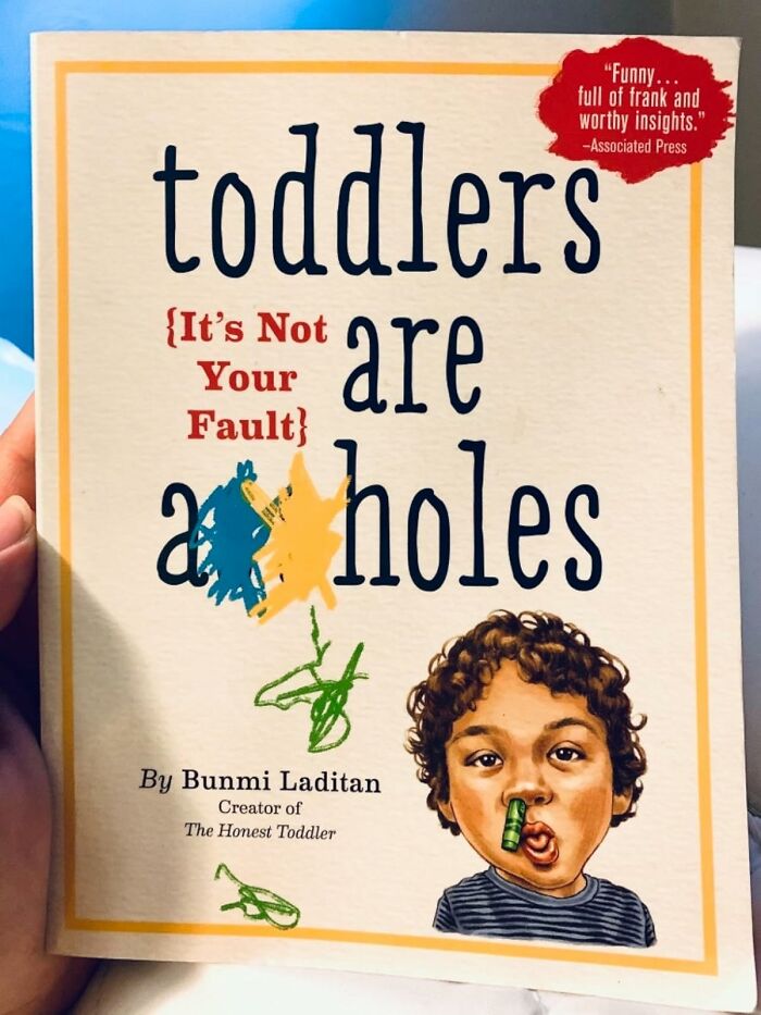 Toddlers Are A**holes: It’s Not Your FaultThe Parenting Book That’s More Like A Support Group (Finally!)