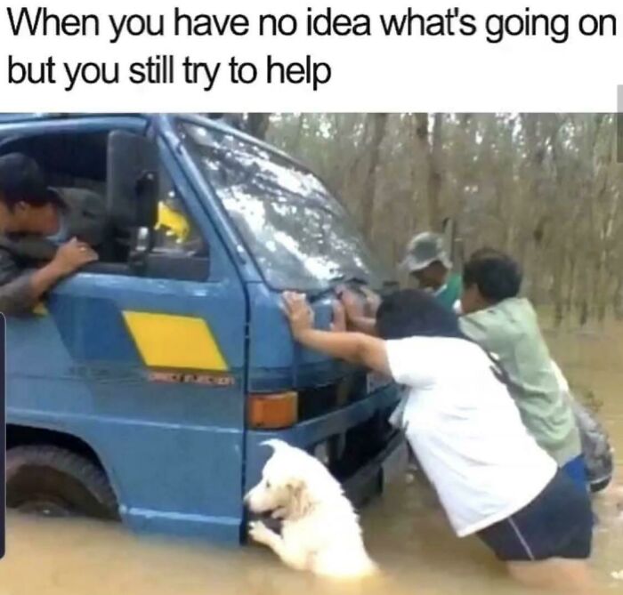 50 Dog Memes So Cute They'll Totally Make Your Day