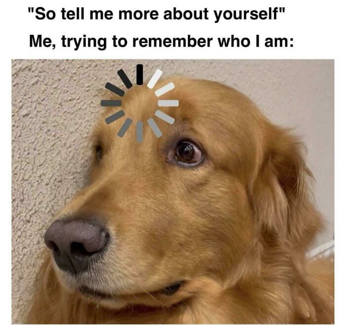 50 Dog Memes So Cute They'll Totally Make Your Day