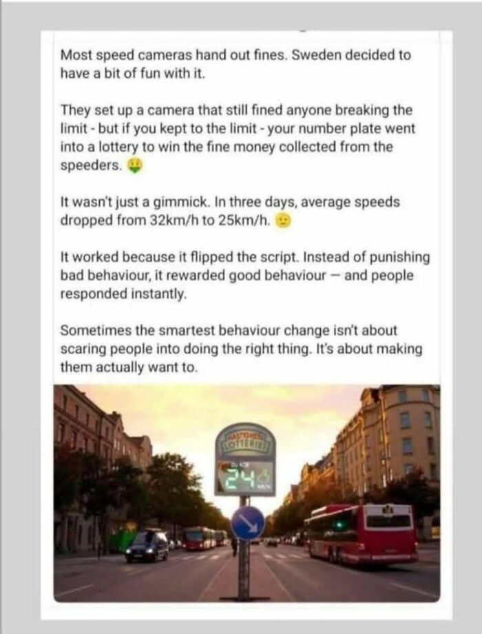 Wait, This 'Wholesome' Stuff Is Actually Kinda Wild?