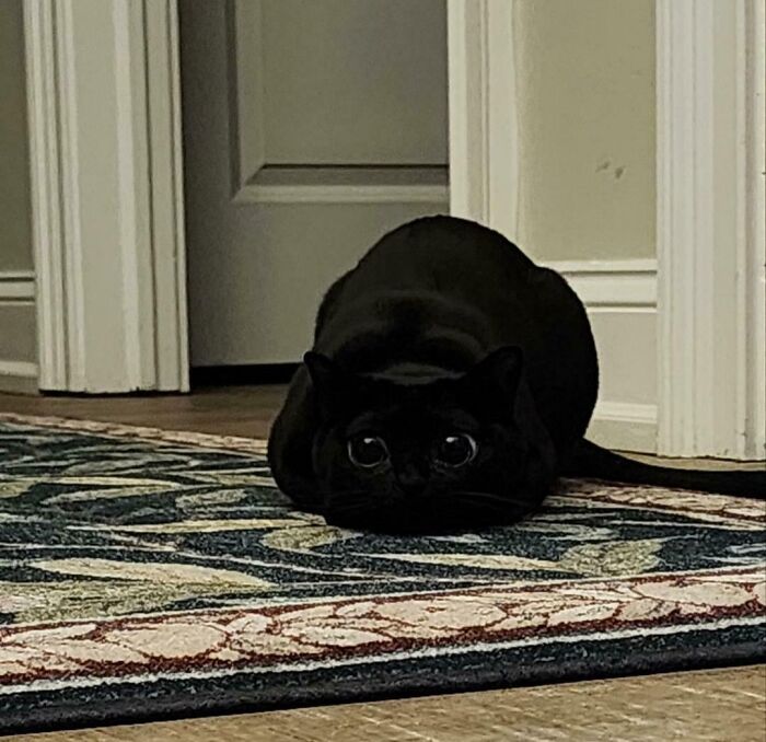 Imminent Attack Incoming!