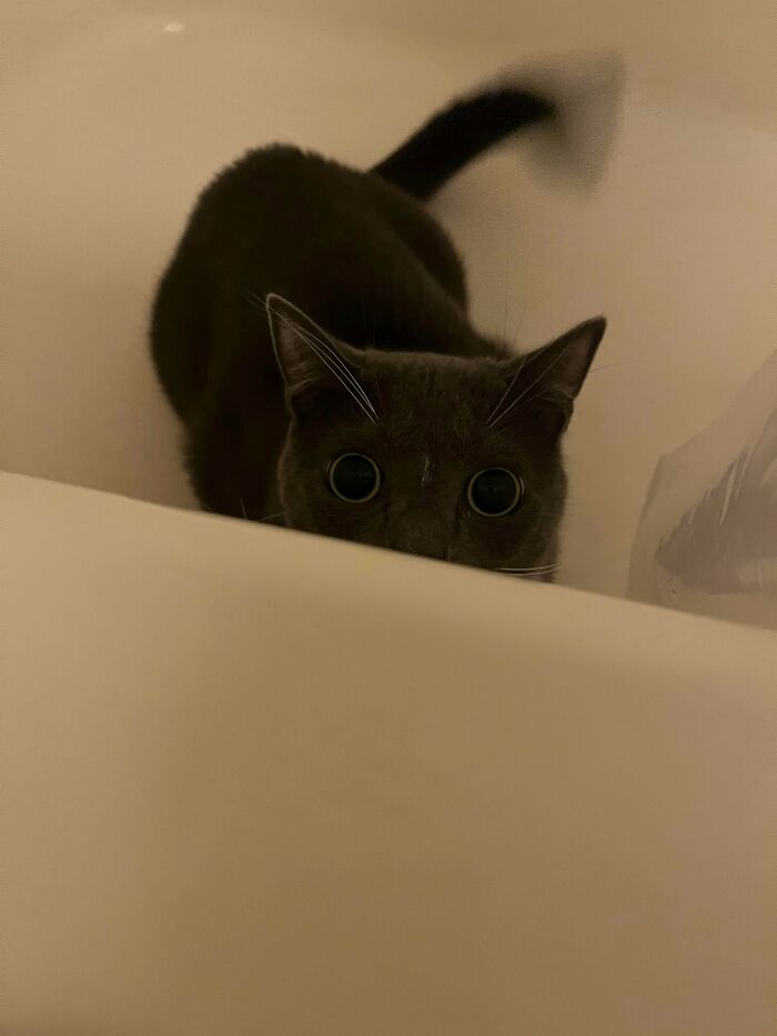 I’m Totally in Danger Here