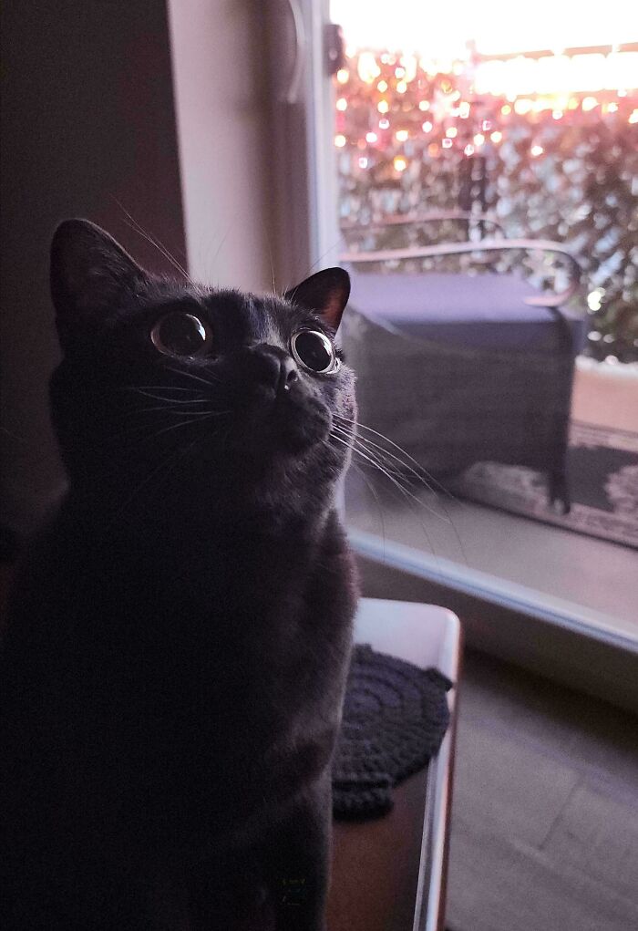 Danger? Oh Yeah, It’s Real.