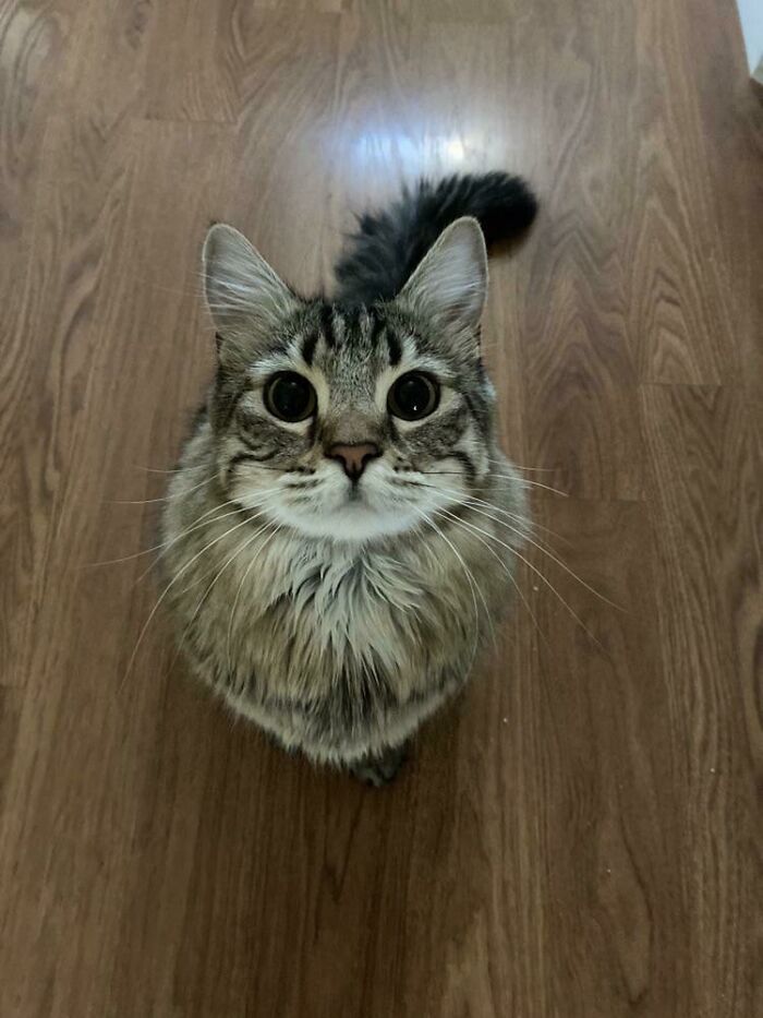 Malia with Those Laser Attack Eyes