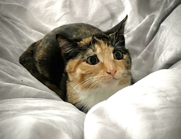 Seconds Before the Attack on My Right Hand