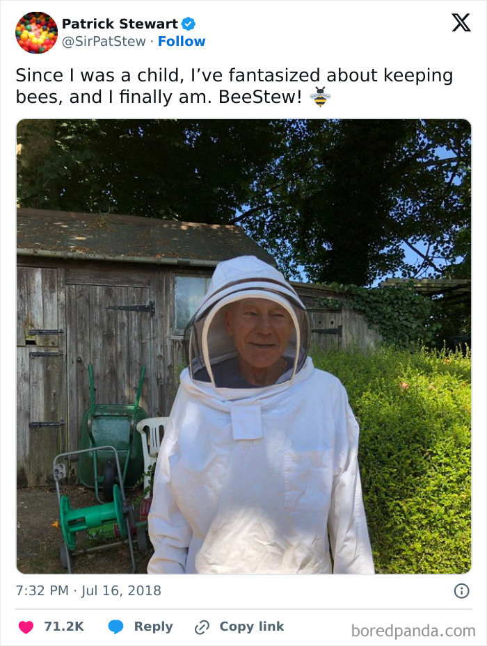 Bee-lieve It! This Is A Dream Come True