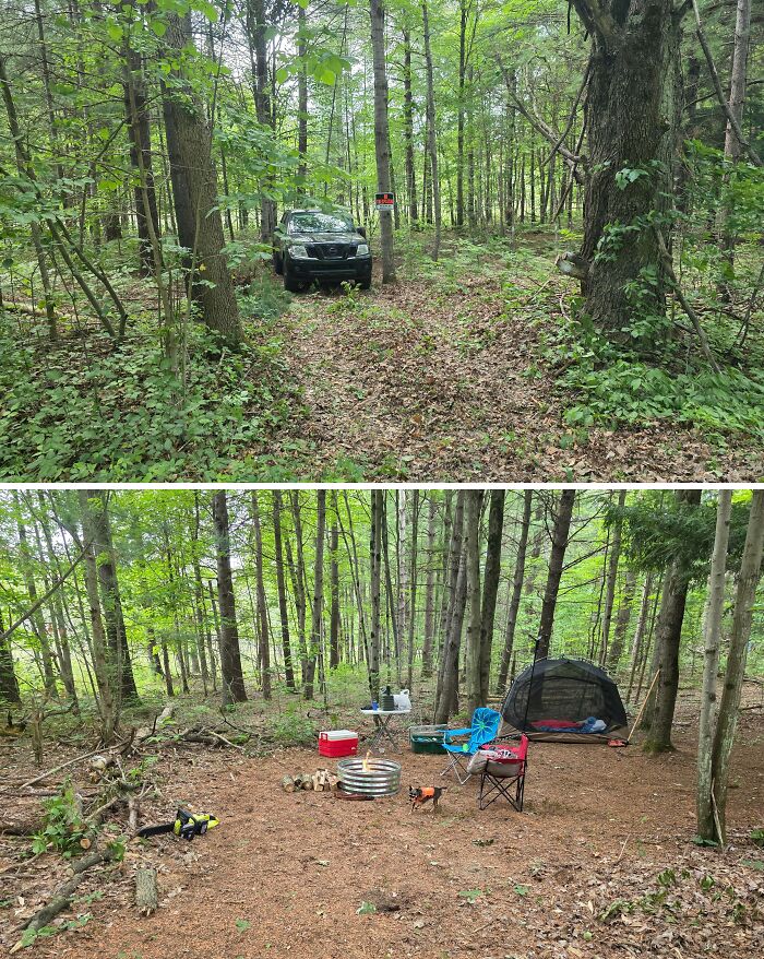 Bought Myself 12.5 Acres Just For Camping—Hello, Dream Land!