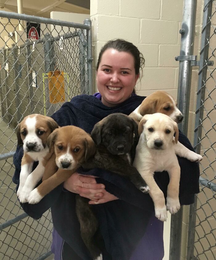 Beat Depression & Anxiety To Get Dream Job At The SPCA—Animal Lover’s Heaven