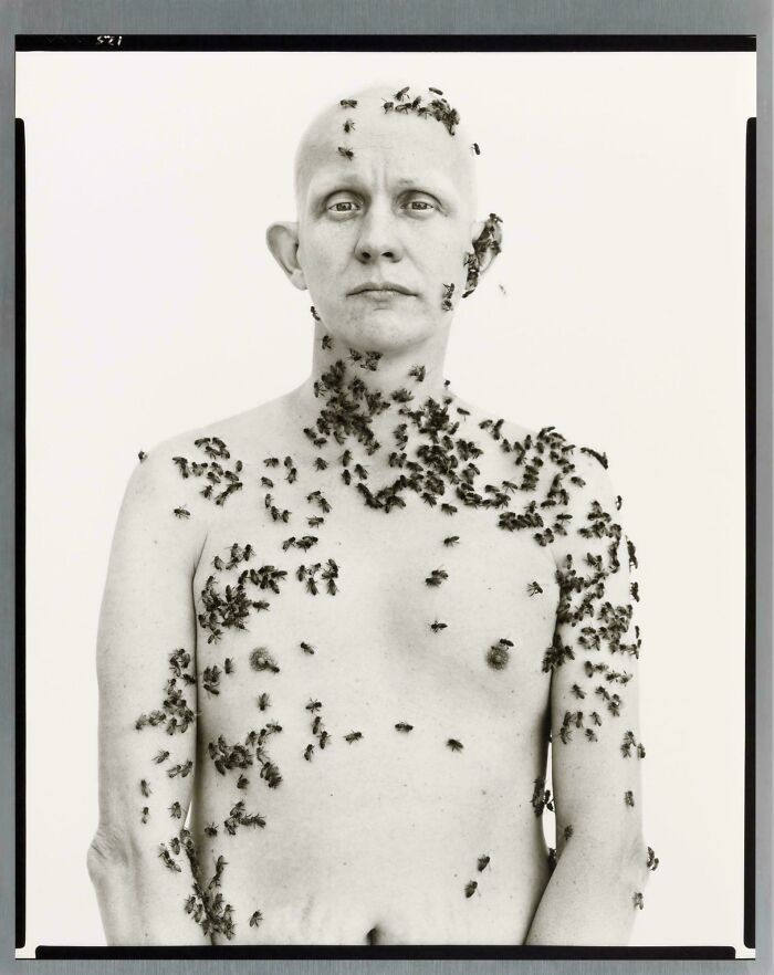 Ronald Fischer, California Beekeeper (1981)