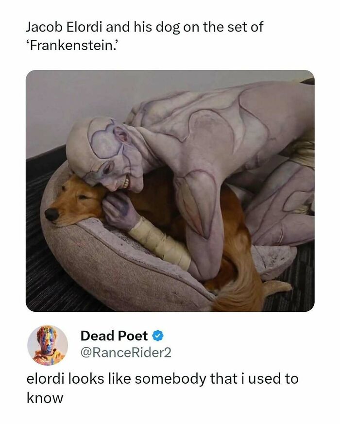 Wait, They Actually Made Memes About These Movies?!