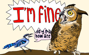 Wait Till You See These Animal Comics That Totally Cracked Us Up