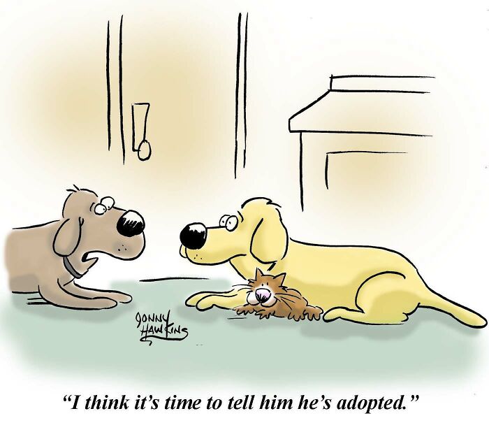 Wait Till You See These Animal Comics That Totally Cracked Us Up