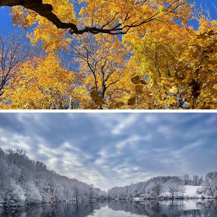 Hey, Check Out These 20 Artists and 20 Photographers Teaming Up!