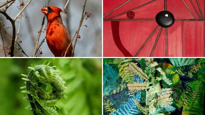 Hey, Check Out These 20 Artists and 20 Photographers Teaming Up!