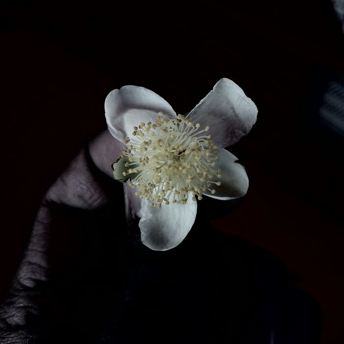 Check Out These 20 Cool Black & White Photos That Totally Rock