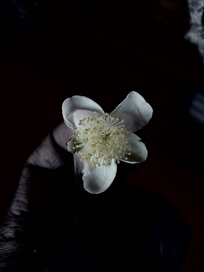 Check Out These 20 Cool Black & White Photos That Totally Rock