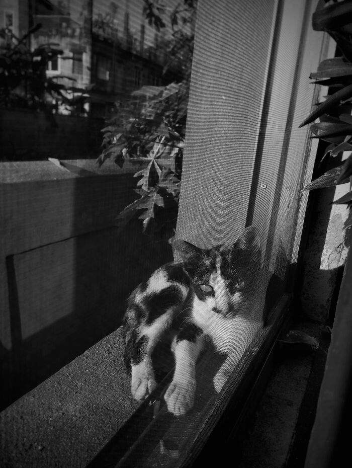 Check Out These 20 Cool Black & White Photos That Totally Rock