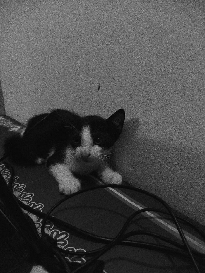 Check Out These 20 Cool Black & White Photos That Totally Rock