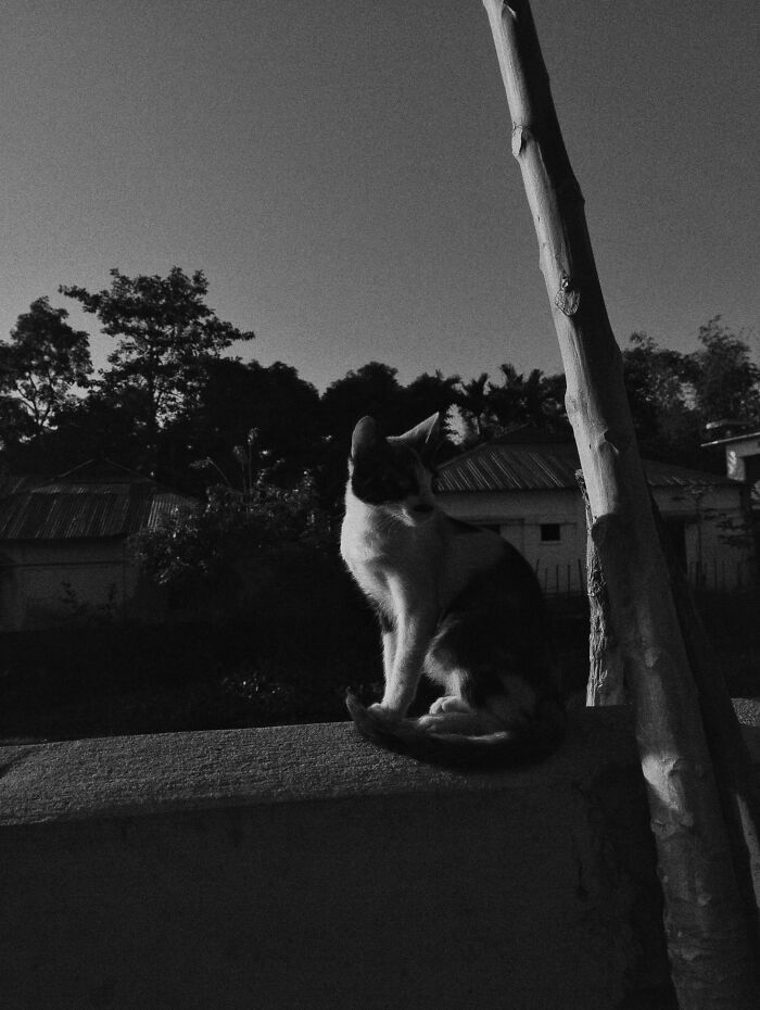 Check Out These 20 Cool Black & White Photos That Totally Rock