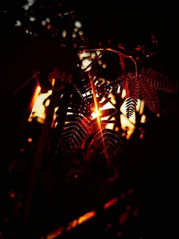 20 Flower Shots That Will Totally Make Your Day