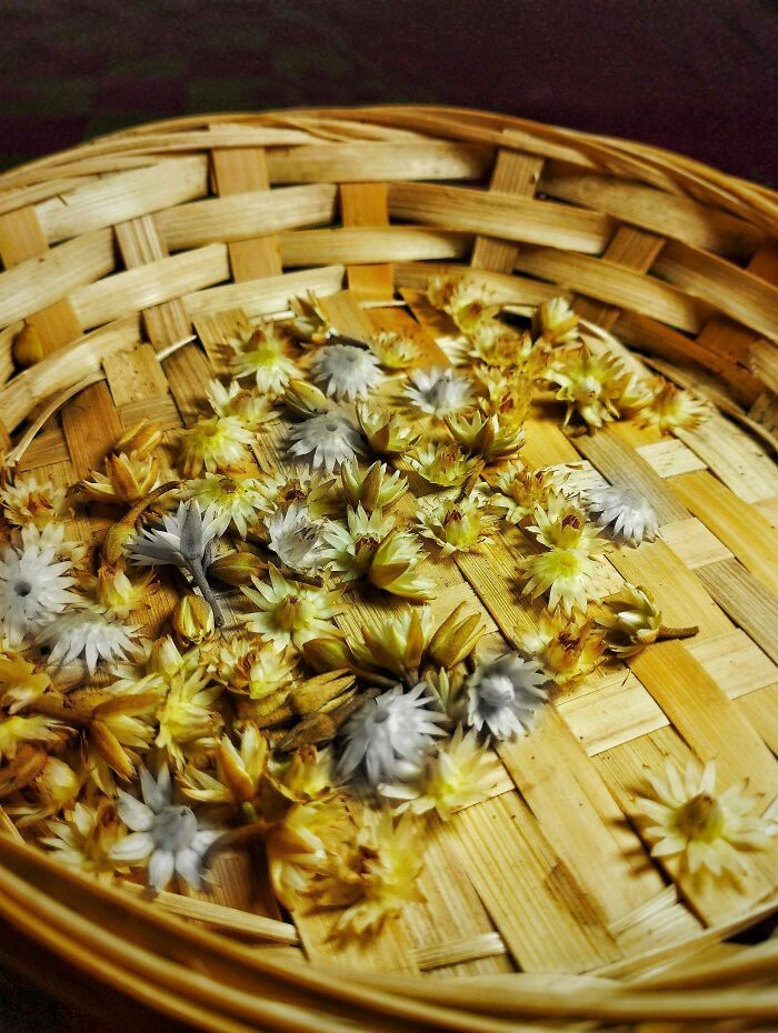 20 Flower Shots That Will Totally Make Your Day