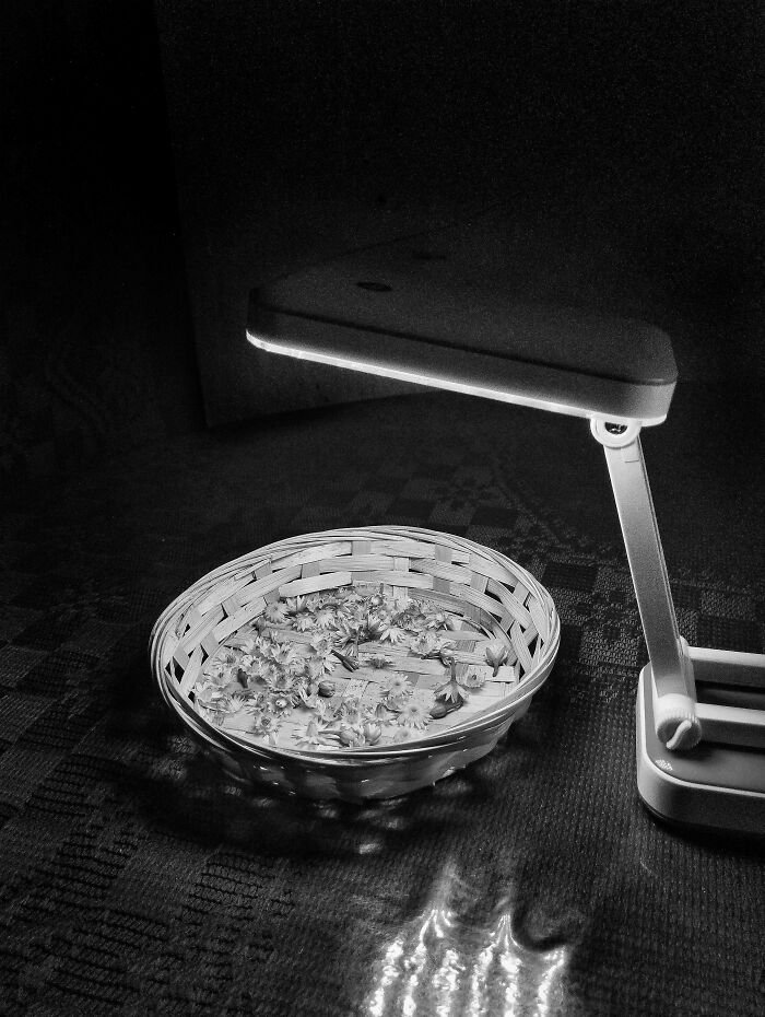 20 Flower Shots That Will Totally Make Your Day