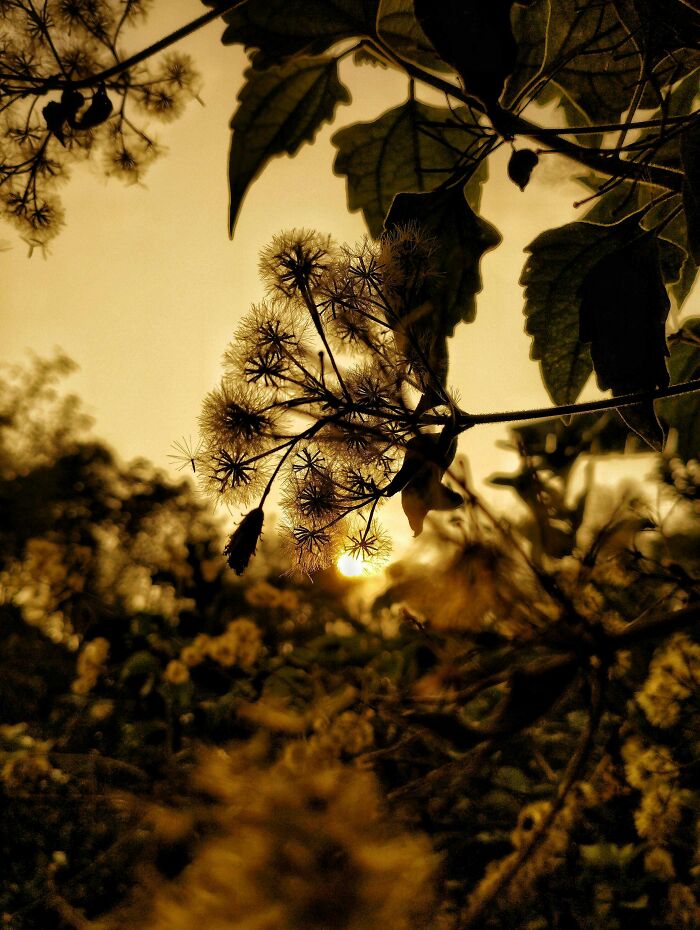 20 Flower Shots That Will Totally Make Your Day