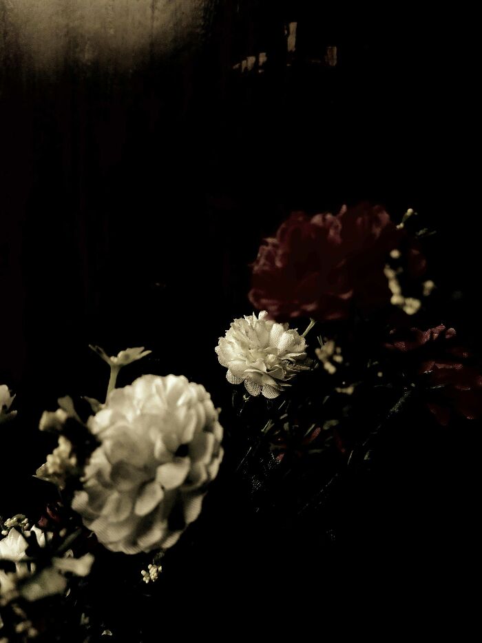 20 Flower Shots That Will Totally Make Your Day