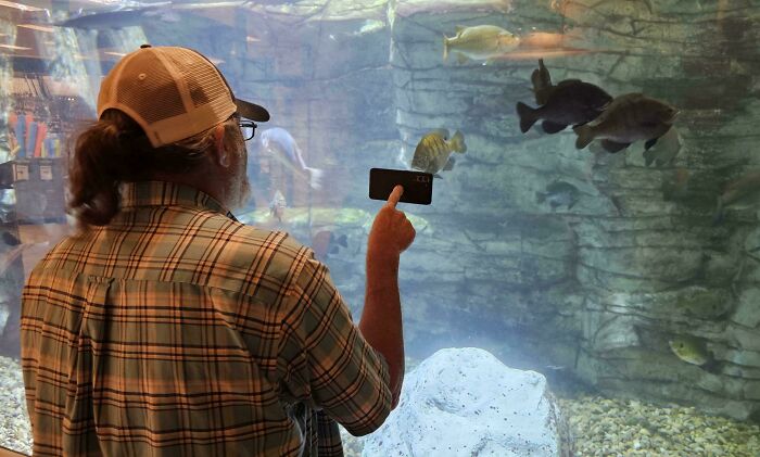 Father-In-Law Showing A Video To A Fish. Fish Seems Confused.