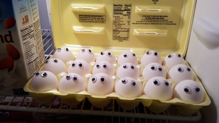 I Like To Surprise My Roommate. Or Annoy. Same Difference.