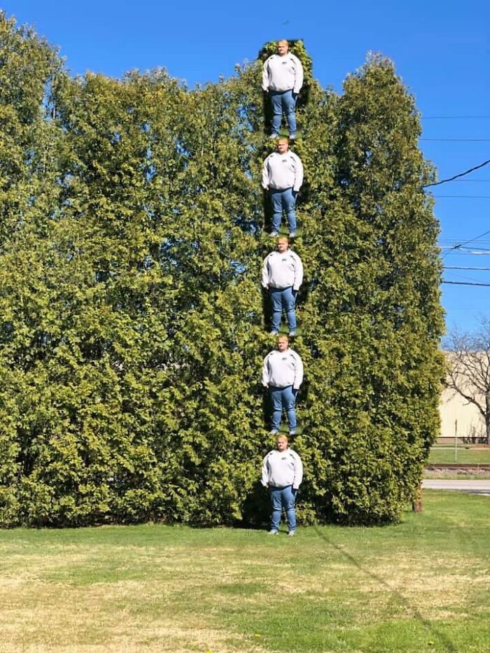 Brother Needed To Measure Trees. This Is How He Did It