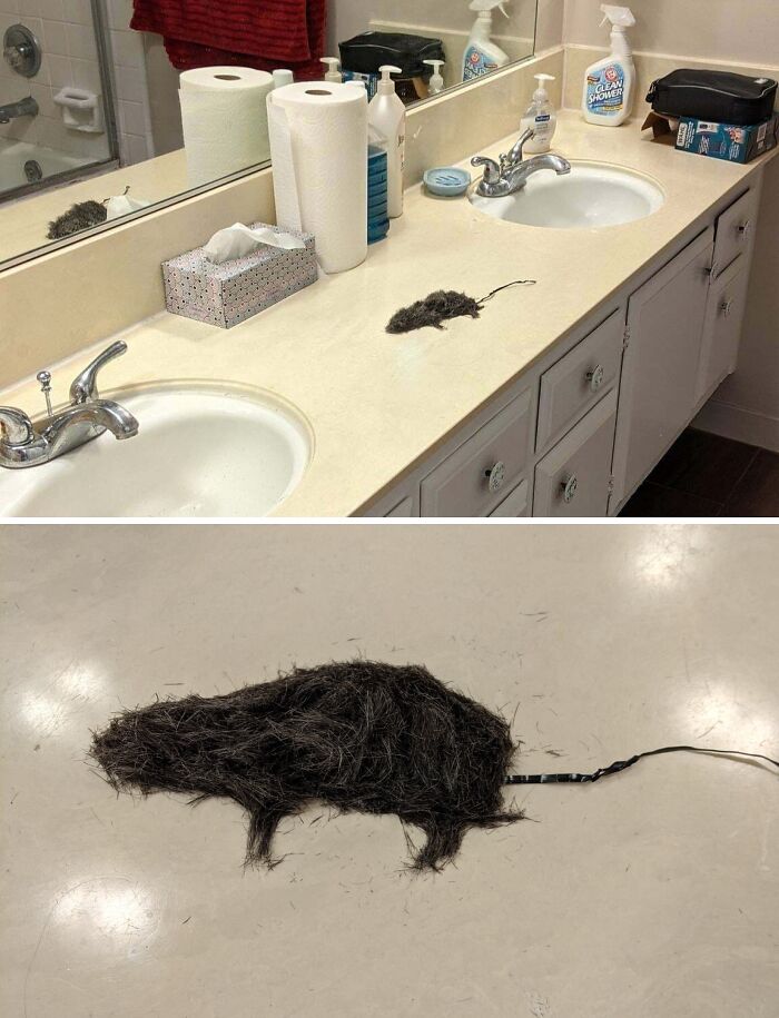 Husband Made Me A Hair Clipping Rat. Yep, That's A Thing Now