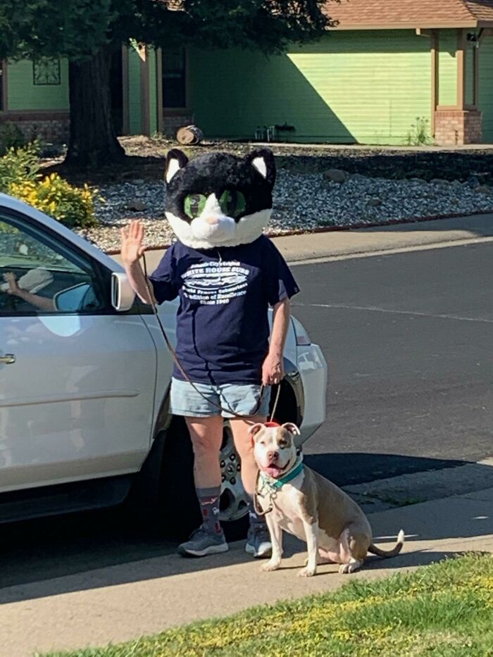 This Person’s Been Walking Their Dog Around Our Neighborhood. Strangely Adorable