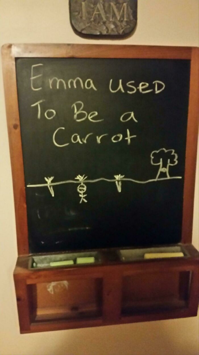 Brother’s Daily Chalkboard Teases For Little Sister Are Next Level
