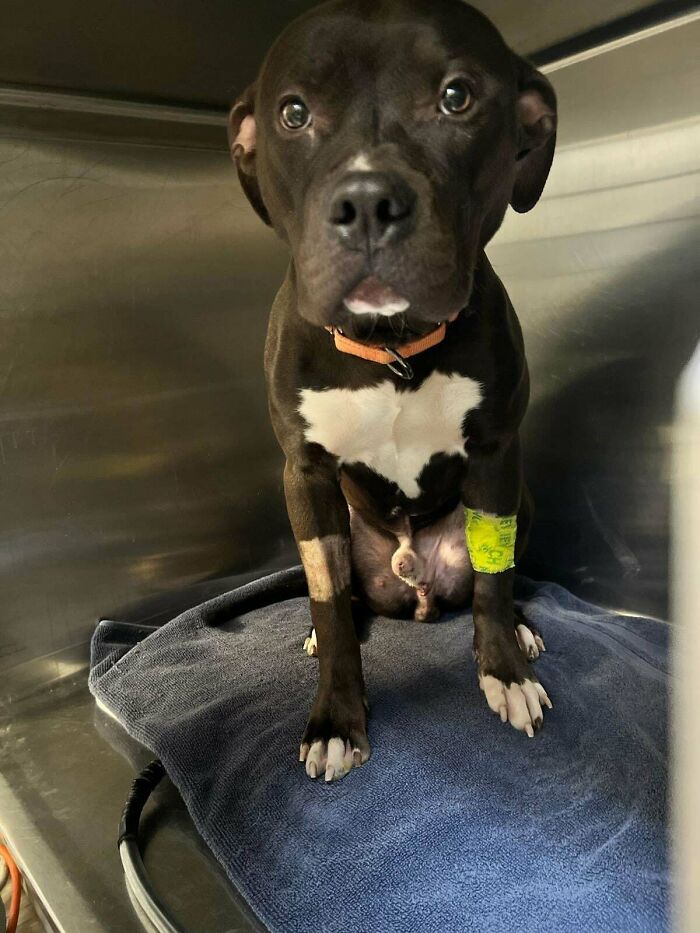 Just Wow—Scooped Up A Neighborhood Legend