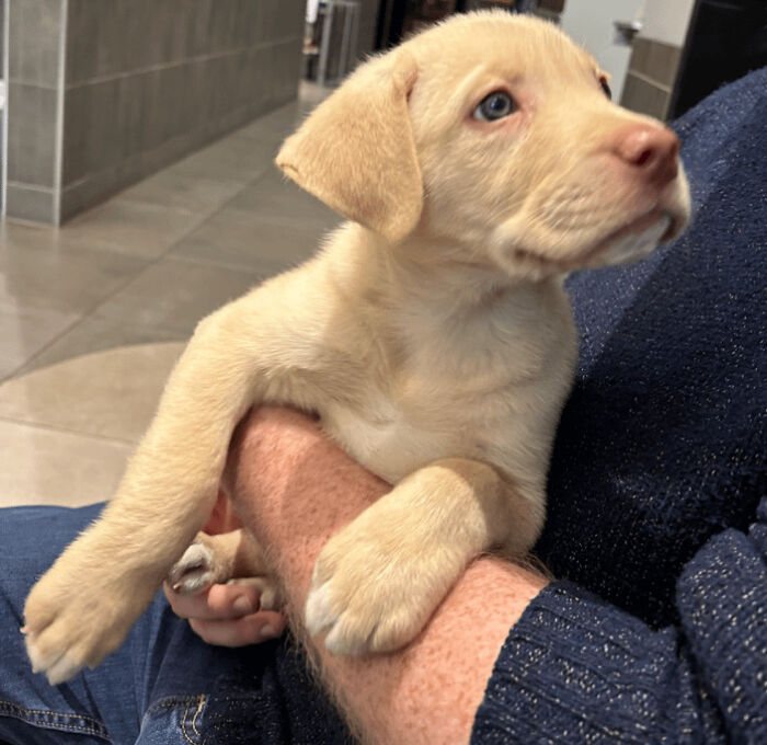 Adopted This Girl Yesterday, Can’t Agree On Her Name Yet