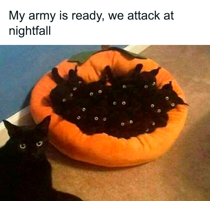 Wait, Goth Memes Are This Hilarious?!